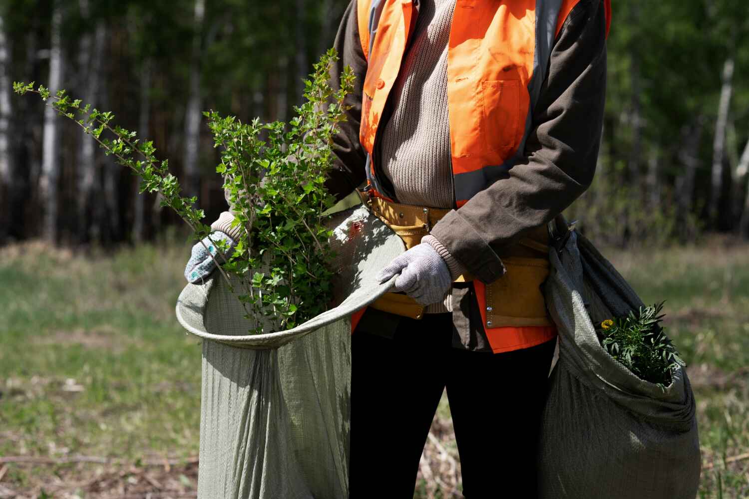 Dunthorpe, OR Tree Service Company